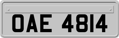 OAE4814