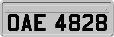 OAE4828