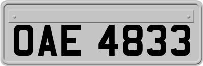 OAE4833
