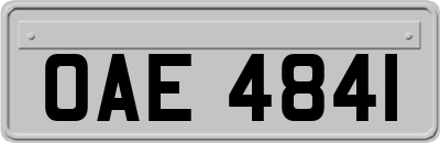 OAE4841
