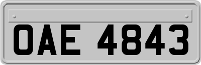 OAE4843