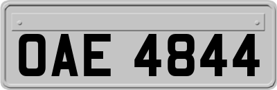 OAE4844