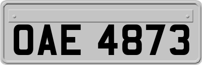 OAE4873