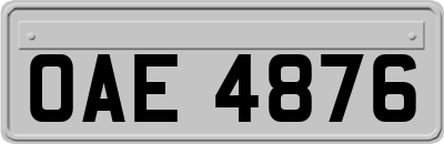 OAE4876