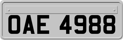 OAE4988
