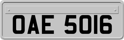 OAE5016