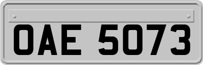 OAE5073