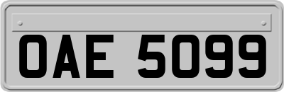 OAE5099