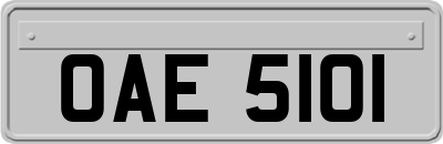 OAE5101