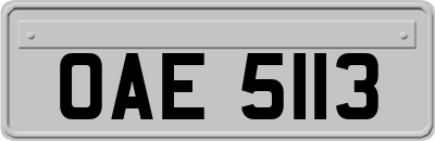 OAE5113