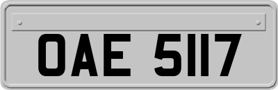 OAE5117