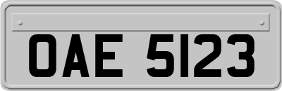 OAE5123