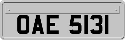OAE5131