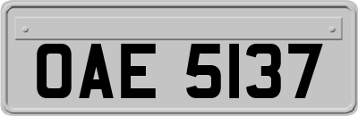 OAE5137