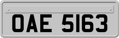 OAE5163
