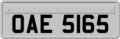 OAE5165