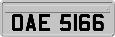 OAE5166
