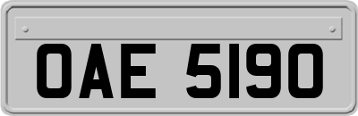 OAE5190