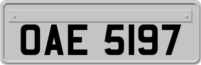 OAE5197