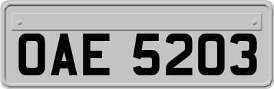 OAE5203