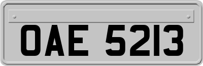 OAE5213