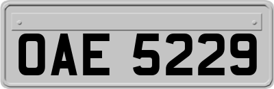 OAE5229