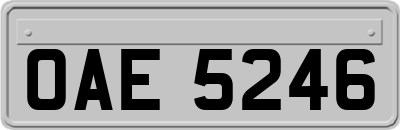 OAE5246