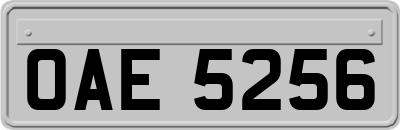 OAE5256