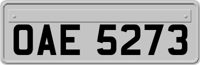 OAE5273