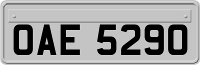 OAE5290