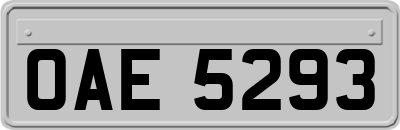 OAE5293