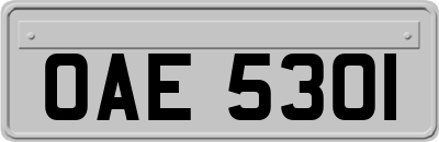 OAE5301