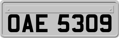 OAE5309