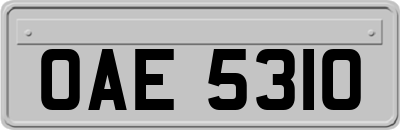 OAE5310