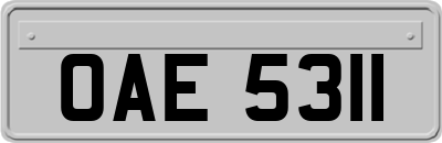 OAE5311