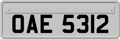 OAE5312