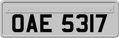 OAE5317