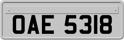 OAE5318