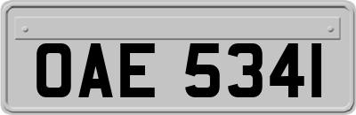 OAE5341