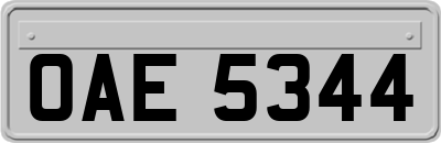OAE5344