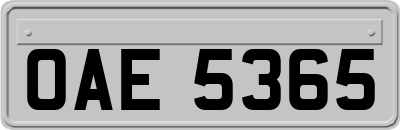 OAE5365