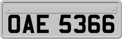 OAE5366