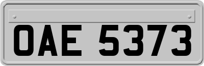 OAE5373
