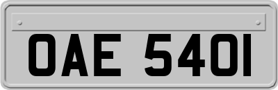 OAE5401