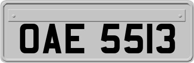 OAE5513