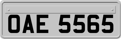 OAE5565