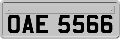 OAE5566