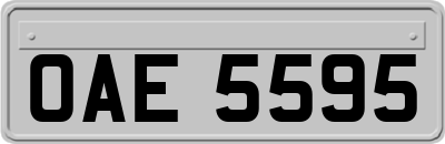 OAE5595