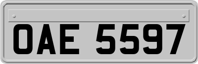 OAE5597
