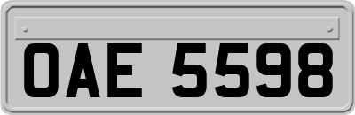 OAE5598